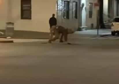 En el barrio de Soho en Nueva York, una joven captó a un hombre con un gran traje de rata circulando por las calles haciendo gestos extraños con su cuerpo. (Especial)
