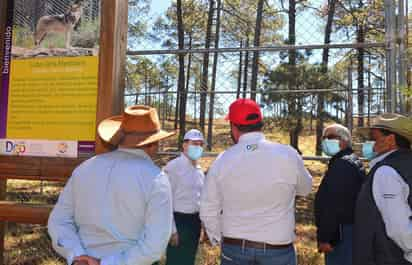 Con la mejora de la infraestructura y de caminos forestales, se ha incrementado la productividad en el sector forestal, dijo Aispuro. (CORTESÍA) 