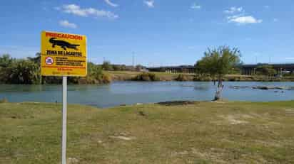 La dirección de Protección Civil del Municipio de Piedras Negras llevó a cabo la instalación de varios letreros en las orillas del río Bravo, a través del cual se advierte a la población sobre la presencia de lagartos en el citado afluente, además de contener algunas recomendaciones en caso de su avistamiento. (RENÉ ARELLANO)