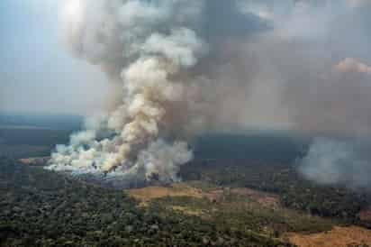 El cambio global obliga a una nueva gestión del fuego para preservar la biodiversidad, según un estudio que ha revisado casi 30,000 especies terrestres y de agua dulce clasificadas con riesgo de extinción y ha encontrado que al menos el 15% se verán amenazadas por la modificación de los regímenes de incendios. (ARCHIVO)