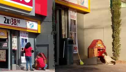 Los trabajadores instalaron una casita ara 'Migajón' afuera de la sucursal (CAPTURA)