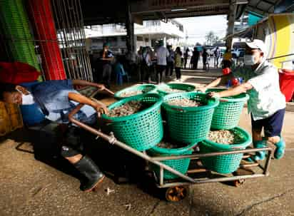 Las autoridades de Tailandia informaron este sábado de la detección 548 contagios de la COVID-19 relacionados con un mercado de pescado donde trabajan muchos inmigrantes, el mayor brote en el país desde el inicio de la pandemia. (ARCHIVO) 