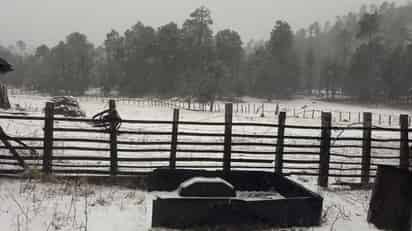 Anteriormente Conagua pronosticó las primeras nevadas para el estado de Durango el día de hoy.