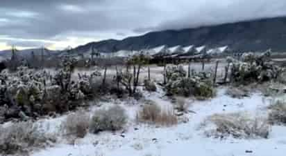 Durante la madrugada del jueves comenzó a descender los primeros copos de nieve en las zonas ejidales y zona urbana del Pueblo Mágico.(EL SIGLO COAHUILA)