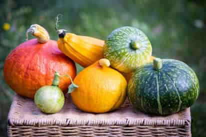 La calabaza, es conocida como el fruto de la calabacera, comestible, de gran tamaño y de forma redonda que puede encontrarse en tonalidades verdes y naranjas, ya sea de cáscara dura o blanda así como su carne sin olvidarnos de sus semillas que pueden tostarse o comerse blanditas como parte de un guisado. (Especial) 