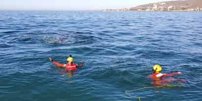 Elementos de la Marina liberaron una ballena atrapada. (ARCHIVO) 