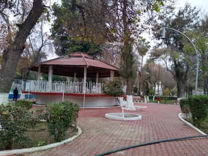 Desde un inicio los vecinos del Parque Morelos se opusieron a que se talara árboles y a la construcción de canchas de futbol.