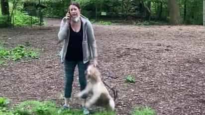 La Fiscalía de Manhattan ha retirado los cargos de 'denuncias falsas' contra Amy Cooper, una mujer blanca que el pasado mayo hizo una llamada a la policía asegurando falsamente que estaba siendo amenazada por una persona negra, en una escena grabada en video y que se volvió viral. (ESPECIAL)