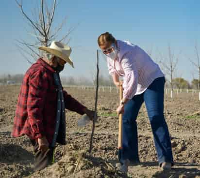 La Dirección de Desarrollo Rural sigue con la implementación de los programas de Apoyos para el Fortalecimiento del Sector Agropecuario. (DIANA GONZÁLEZ)