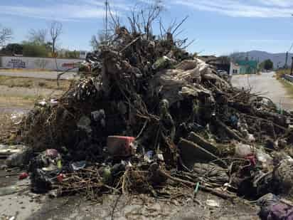 La corriente de agua arrastró toneladas de basura en colonias como Las Brisas y Francisco Villa.