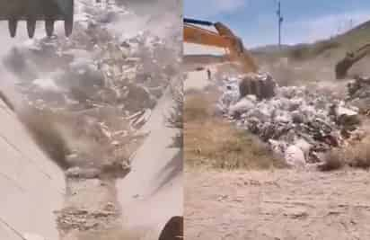 El agua que corría por los canales de riego del río Nazas venía acompañada de una enorme cantidad de basura (CAPTURA) 