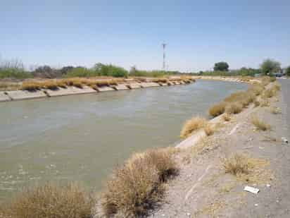 Acusan a Conagua de falta de vigilancia en la distribución del líquido y de ser omisos ante irregularidades en los módulos de riego. (EL SIGLO DE TORREÓN) 