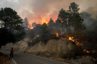 El Procurador del Medio Ambiente del Estado, Javier de Jesús Rodríguez Mendoza, informó que la dependencia a su cargo prepara una demanda contra los responsables del incendio forestal que inició en La Peñalosa, e indicó que las sanción máxima de acuerdo a las leyes de protección al medio ambiente, será de 4.4 millones de pesos, cantidad que no alcanza para reparar el daño causado. (ARCHIVO)