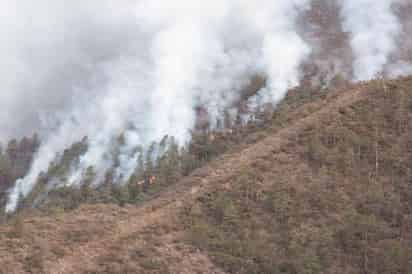 Este sábado 27 de marzo, la titular de la Secretaría de Medio Ambiente del Estado (SMA), Eglantina Canales Gutierrez, informó que el combate al incendio en “La Pinalosa”, en la Sierra de Arteaga, reporta un avance del 70 por ciento en control y un 40 por ciento en su liquidación, con una afectación estimada en 3 mil 550 hectáreas de arbolado adulto de oyamel, pino-encino y matorral submontano. (EL SIGLO DE TORRÉON) 
