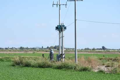 La CFE presentó dos denuncias ante la FGR por el delito de robo de energía para actividades agrícolas. (EL SIGLO DE TORREÓN) 