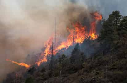 Un grupo de combatientes de incendios que radican en el ejido Jaboncillos Grandes, se integró a las brigadas que participan en el combate al siniestro de la sierra de de Arteaga, que ha estado arrasando miles de hectáreas. (ARCHIVO)