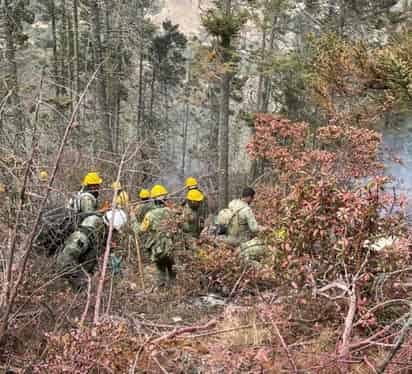 Al iniciar la jornada de hoy en el incendio que se registra en “La Pinalosa”, Canales Gutiérrez confirmó que se lleva un avance del 85 por ciento en el control y un 75 por ciento en la liquidación del incendio.
(EL SIGLO DE TORREÓN)