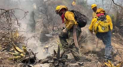 Fueron en total 354 brigadistas de distintos frentes los que trabajaron ayer en la sofocación del incendio en la sierra. (CORTESÍA)