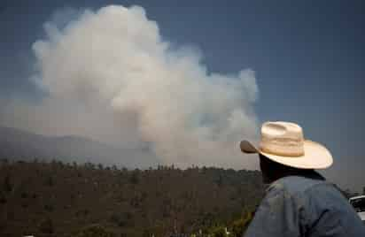 Atrasada, colaboración para llamar a responsables de incendio en Arteaga por parte de las Fiscalías.