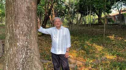 López Obrador realizará la propuesta el próximo 22 de abril. (ESPECIAL)