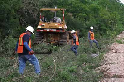 En conferencia de prensa matutina, el titular del Ejecutivo federal señaló que el proyecto ferroviario requiere 'muchos trabajadores' pues es una obra con una extensión de mil 500 kilómetros de vías férreas.
(ARCHIVO)