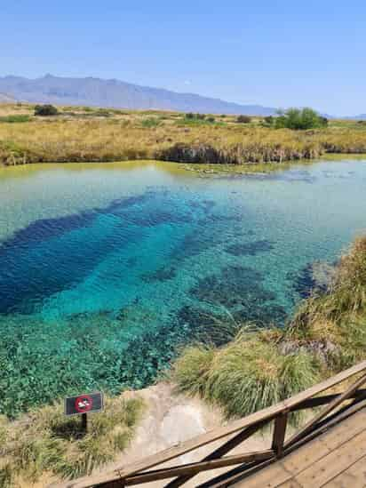 Los Pueblos Mágicos de Parras de la Fuente y Cuatro Ciénegas fueron los que abarrotaron sus más de 800 habitaciones en ocupación.