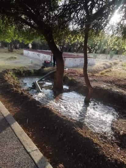 Fue el director de Medio Ambiente quien aseguró que al interior del parque se llevan a cabo trabajos de mantenimiento.