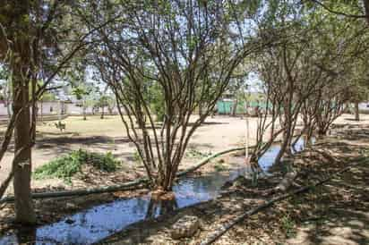 La Dirección de Ecología y Medio Ambiente en Lerdo informó sobre la continuación de los trabajos de mantenimiento en el parque Vivero Las Auras. (DIANA GONZÁLEZ)