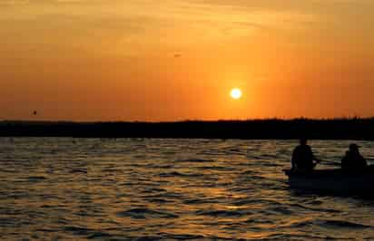 Están entre las últimas regiones de la Tierra colonizadas por el hombre, pero las islas han padecido de una manera mucho más acelerada los cambios en su biodiversidad como consecuencia de esos asentamientos y de las actividades humanas. (ESPECIAL) 