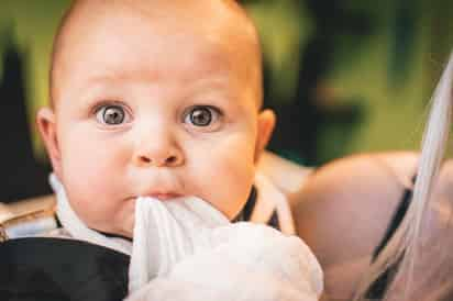 El brote dental puede aparecer entre los cuatro y los siete meses de edad. (ESPECIAL)