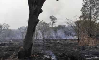 Una densa capa de humo cubre buena parte de la Zona Metropolitana de Guadalajara debido a un incendio que comenzó la noche del jueves pasado y que no ha podido ser controlado, por lo que se activó una alerta atmosférica desde las 6:00 horas de este sábado para los municipios de Tala, Zapopan, Guadalajara y Tlajomulco de Zúñiga. (ESPECIAL)
