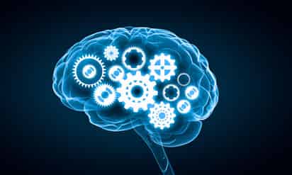 Investigadores del Instituto de Bioingeniería de Cataluña (Noreste de España) identificaron el mecanismo neuronal del aprendizaje autónomo, un nuevo avance en el proceso para comprender cómo aprende y almacena los recuerdos el cerebro humano. (ESPECIAL)