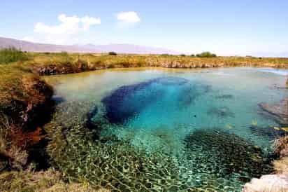 El semáforo en verde dio confianza a los turistas que buscan los pueblos mágicos de la Región Centro de Coahuila, dijo Ayala, que precisó que son Cuatro Ciénegas y Candela.