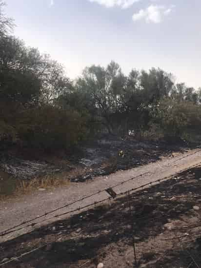 Lo anterior ocasionó daños irreparables a la vegetación siendo los afectados alrededor de 40 Mezquites, 10 Huizaches, Carrizo, Pastos y un ejemplar de Serpiente de Diamante Occidental, una especie que está sujeta a protección especial.
(EL SIGLO DE TORREÓN)