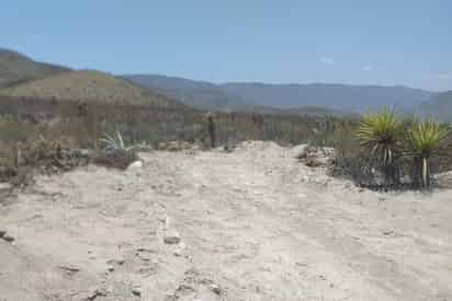 Acaba de perder 11 mil 216 metros cuadrados de flora y fauna protegida, primero con el incendio provocado el pasado 19 de mayo y posteriormente con unas obras realizadas al interior. (EL SIGLO DE TORREÓN)