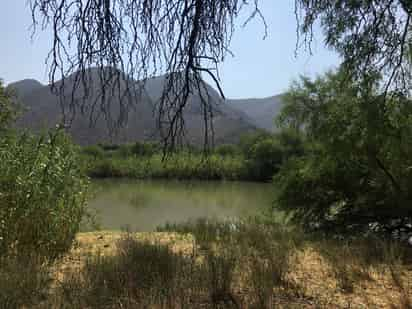 Un grupo de ciudadanos busca que las obras del proyecto Agua Saludable para La Laguna sigan en tiempo en el Cañón de Fernández. (ARCHIVO)