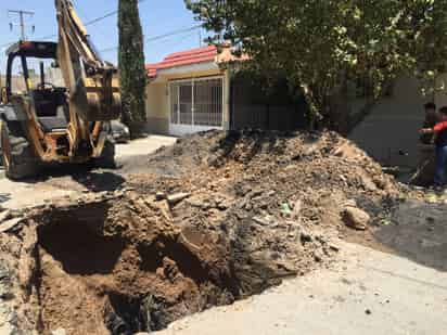 El hecho se registró el domingo por la tarde frente a la vivienda 423 del fraccionamiento Los Álamos en Gómez Palacio.