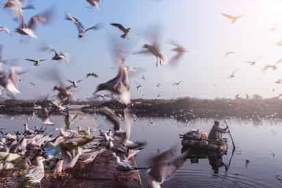 Latinoamérica es rica en paisajes y destinos naturales. (ESPECIAL)