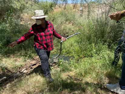 El Sistema Municipal de Aguas y Saneamiento (Simas) San Pedro, exhorta a la ciudadanía para que sigan reportando tomas de agua potable, clandestinas; la mayoría se utiliza para el riego de cultivos, afectando seriamente en el suministro del líquido. (MARY VÁZQUEZ)