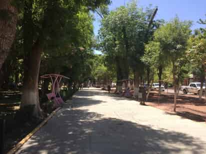 Se proyecta reforestar el Parque Victoria con 60 árboles. (EL SIGLO DE TORREÓN)