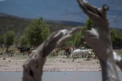 En México, según la Ley de Desarrollo Rural Sustentable, el concepto de desertificación se aplica 'a todos los ecosistemas existentes'.