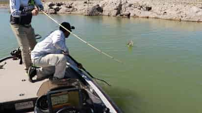 Las parejas a bordo de sus respectivas embarcaciones buscarán los mejores ejemplares bajo el agua. (ESPECIAL)