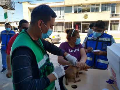 Desde las nueve de la mañana se instalaron módulos de vacunación y desparasitación de perros y gatos y uno de consultas médicas generales, enfocándose principalmente en la detención y prevención de enfermedades crónico degenerativas.
(EL SIGLO DE TORREÓN)