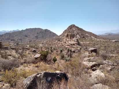 Se trata de una zona con riqueza arqueológica, mineral, geológica y de paisaje, misma que está conformada por un total de 45 mil 123 hectáreas y 50 áreas.
(EL SIGLO DE TORREÓN)