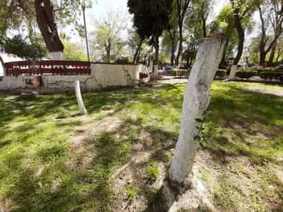 Para conservar a uno de los pulmones más grandes de Gómez Palacio, se busca que se declare nivel municipal al Parque Morelos como una zona natural protegida. Esperan que sea antes de que concluya el mes de agosto que se esté votando en el pleno del Cabildo. (ARCHIVO)