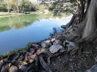 La asociación Prodefensa del Nazas celebró el diálogo anunciado por el presidente de la República, Andrés Manuel López Obrador, quien anunció una próxima visita a la región para dialogar sobre el proyecto federal de Agua Saludable para La Laguna. (ARCHIVO)