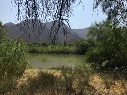 La Comisión Nacional del Agua (Conagua) rechazó que exista una suspensión definitiva contras las obras del proyecto federal Agua Saludable para La Laguna en lo que toca al interior del parque estatal Cañón de Fernández, pues aseguró que aún queda pendiente por desahogarse una audiencia constitucional prevista para el próximo 23 de agosto. (ARCHIVO)