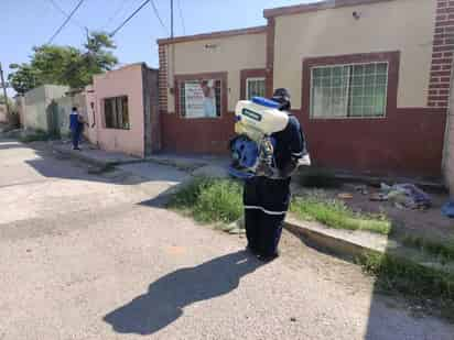 La Dirección de Salud Municipal en Matamoros sigue recibiendo reportes por la presencia de garrapatas y en esta ocasión fueron en las colonias; Benito Juárez y Rosalía Ramírez. (EL SIGLO DE TORREÓN) 