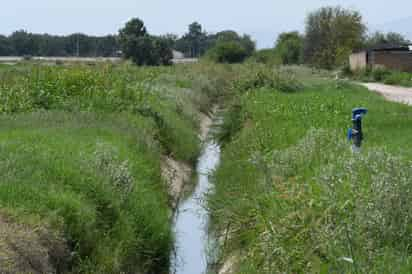 Ahorros de un 37 por ciento, en promedio, en el volumen de agua y un incremento de 20 a 25 por ciento en la producción son los resultados que arroja el riego por goteo en las 90 hectáreas de alfalfa que se cultivan en el establo La Flor, en Gómez Palacio, en comparación con el riego tradicional por gravedad. (FERNANDO COMPEÁN)