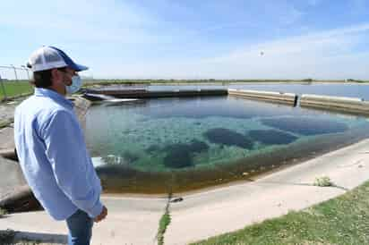 La modernización de los sistemas de riego significa importantes ahorros en el volumen de agua, pero un incremento en el rendimiento. (EL SIGLO DE TORREÓN) 